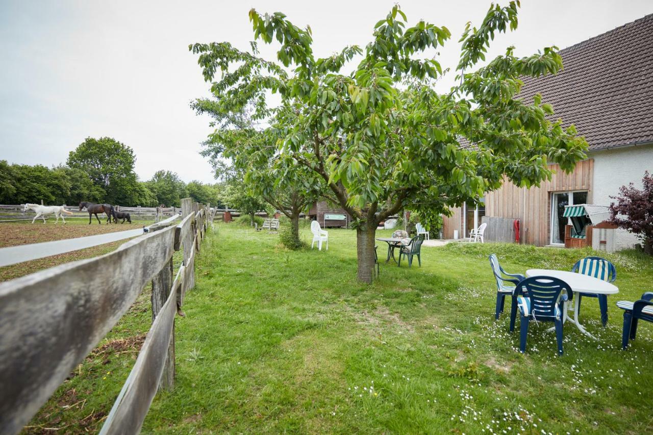 Apartamento Reiterhof Zwei Linden Melle Exterior foto